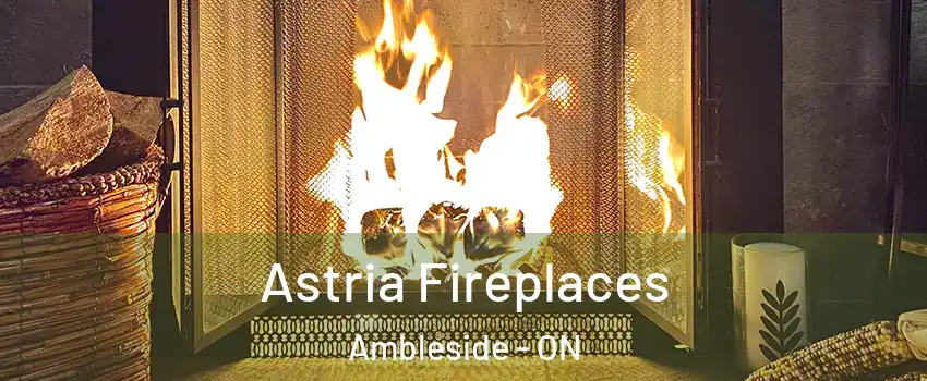  Astria Fireplaces Ambleside - ON