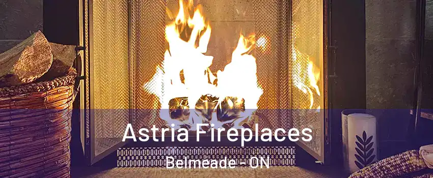  Astria Fireplaces Belmeade - ON