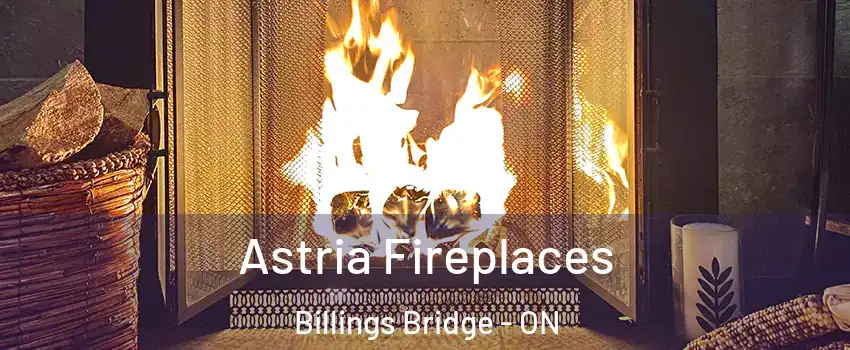  Astria Fireplaces Billings Bridge - ON