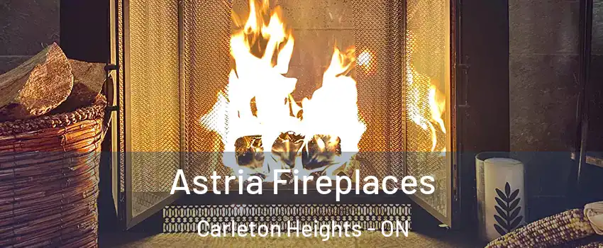  Astria Fireplaces Carleton Heights - ON