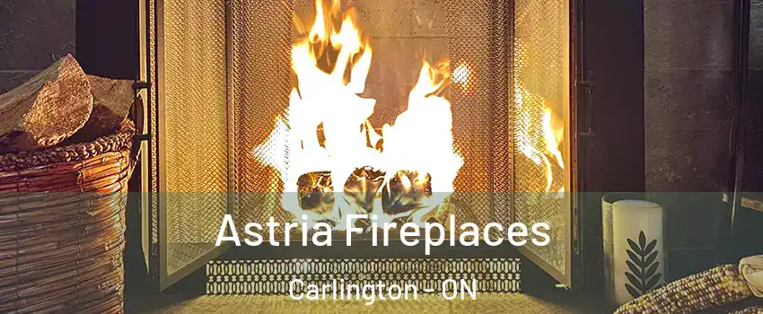  Astria Fireplaces Carlington - ON