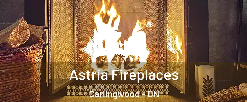  Astria Fireplaces Carlingwood - ON