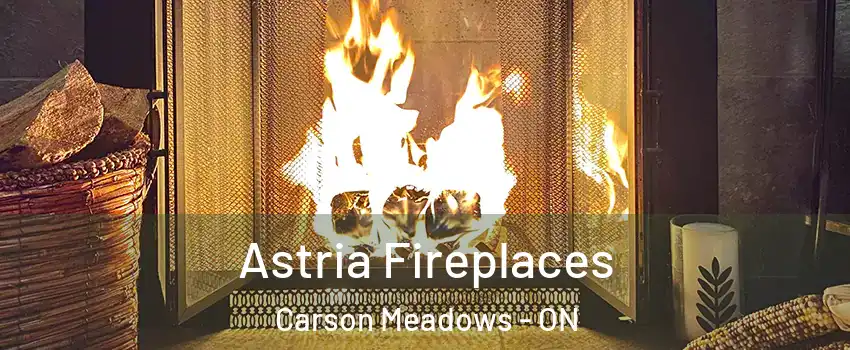  Astria Fireplaces Carson Meadows - ON