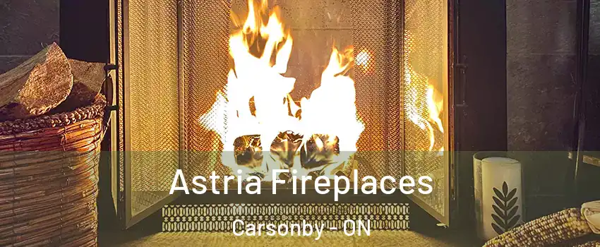  Astria Fireplaces Carsonby - ON