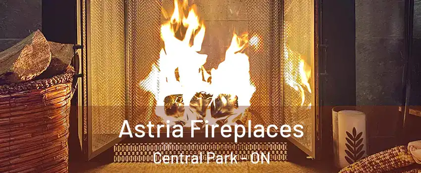  Astria Fireplaces Central Park - ON