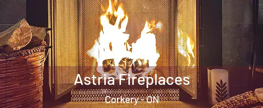  Astria Fireplaces Corkery - ON