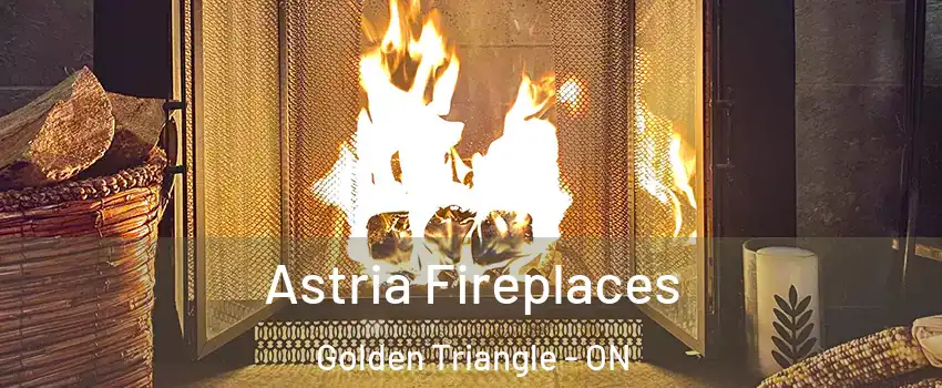  Astria Fireplaces Golden Triangle - ON