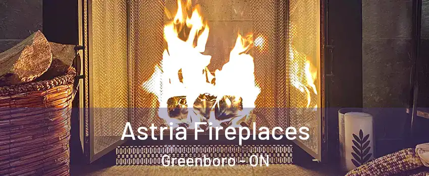  Astria Fireplaces Greenboro - ON