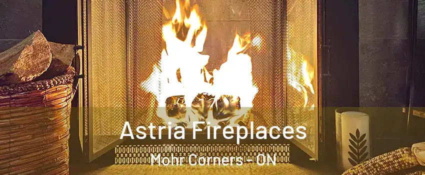  Astria Fireplaces Mohr Corners - ON