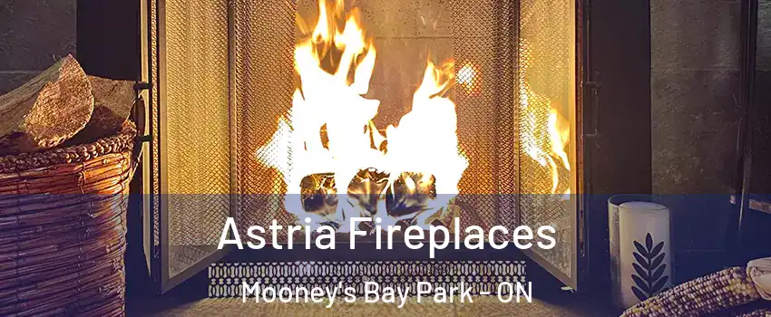  Astria Fireplaces Mooney's Bay Park - ON