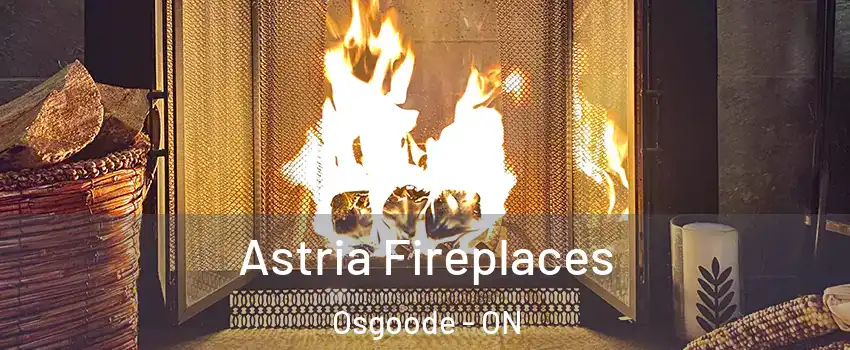  Astria Fireplaces Osgoode - ON