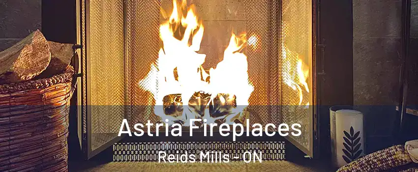  Astria Fireplaces Reids Mills - ON