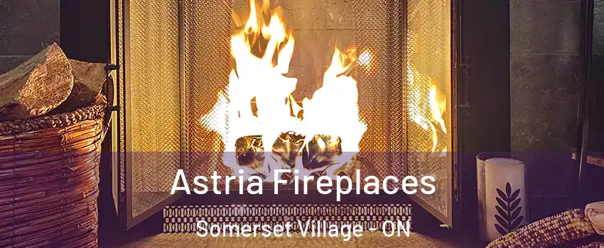  Astria Fireplaces Somerset Village - ON