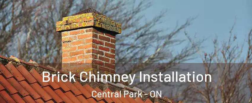  Brick Chimney Installation Central Park - ON