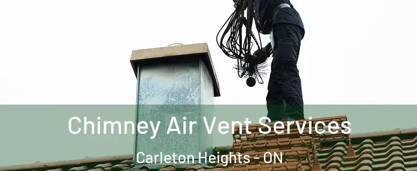  Chimney Air Vent Services Carleton Heights - ON