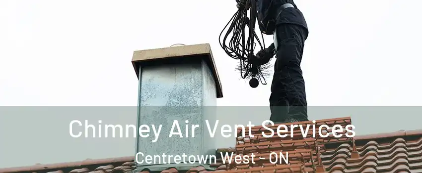  Chimney Air Vent Services Centretown West - ON