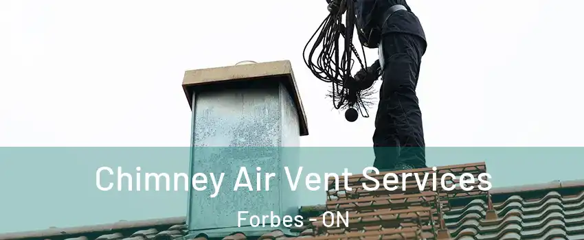  Chimney Air Vent Services Forbes - ON