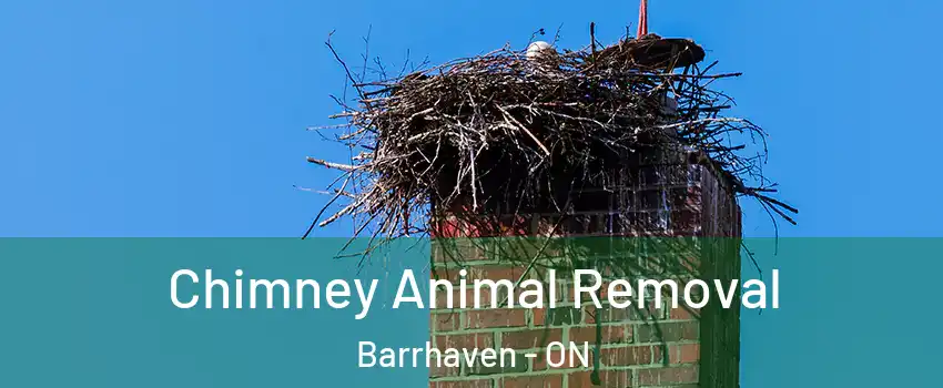  Chimney Animal Removal Barrhaven - ON