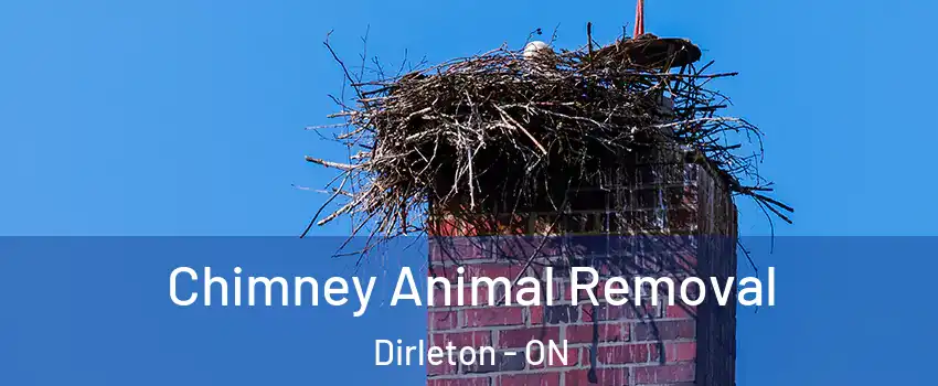  Chimney Animal Removal Dirleton - ON