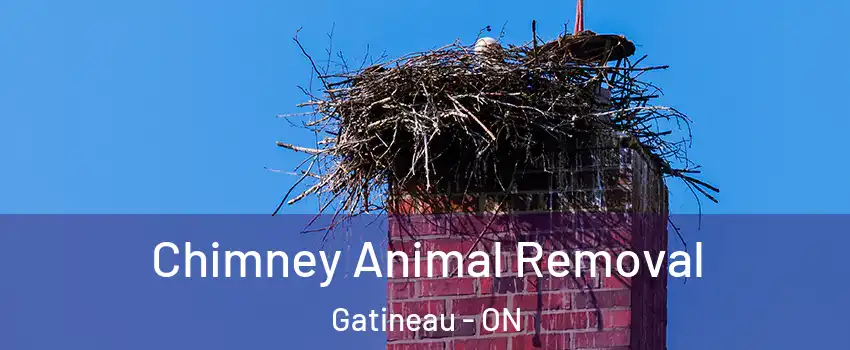  Chimney Animal Removal Gatineau - ON