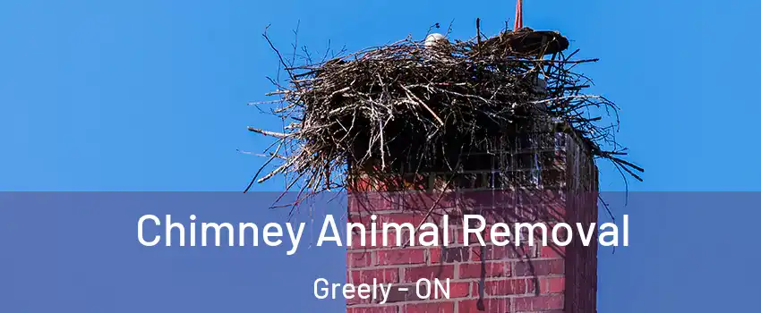  Chimney Animal Removal Greely - ON