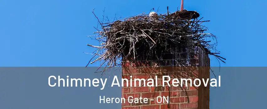  Chimney Animal Removal Heron Gate - ON