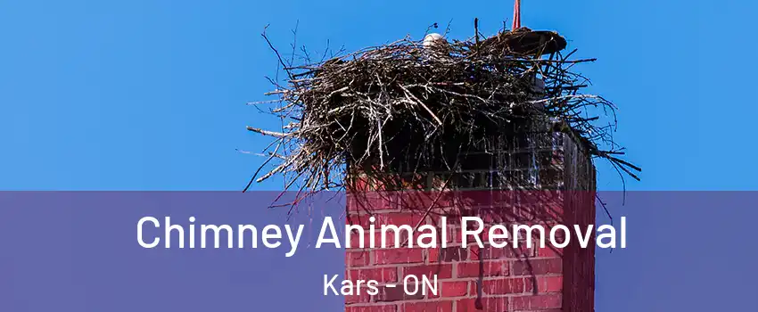  Chimney Animal Removal Kars - ON