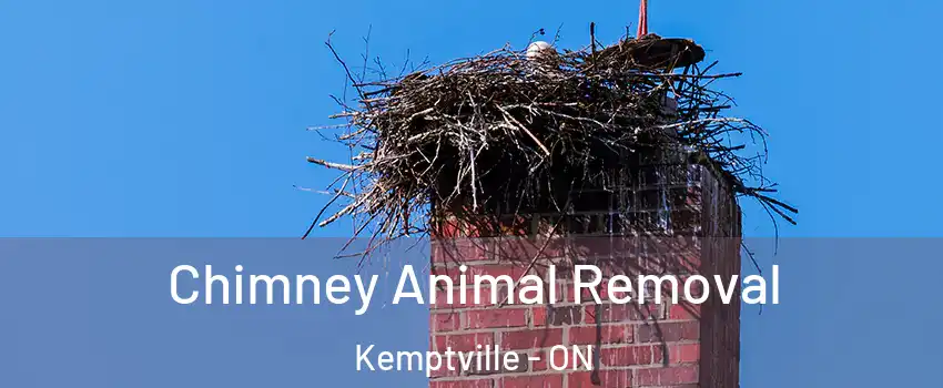  Chimney Animal Removal Kemptville - ON