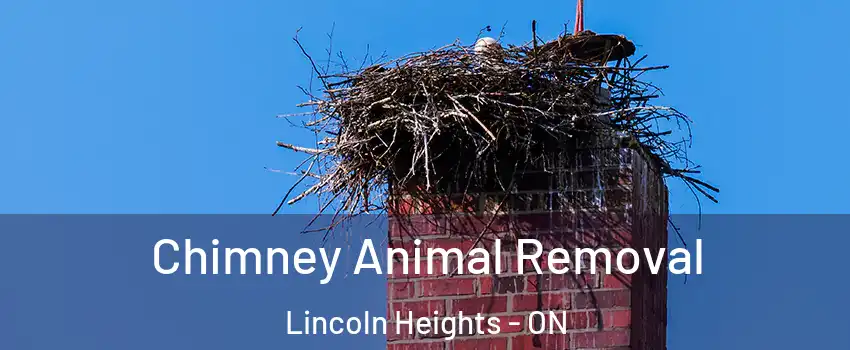  Chimney Animal Removal Lincoln Heights - ON