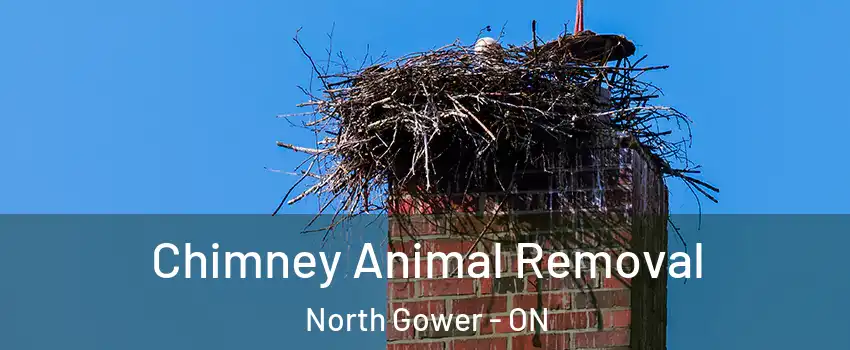  Chimney Animal Removal North Gower - ON