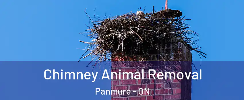  Chimney Animal Removal Panmure - ON