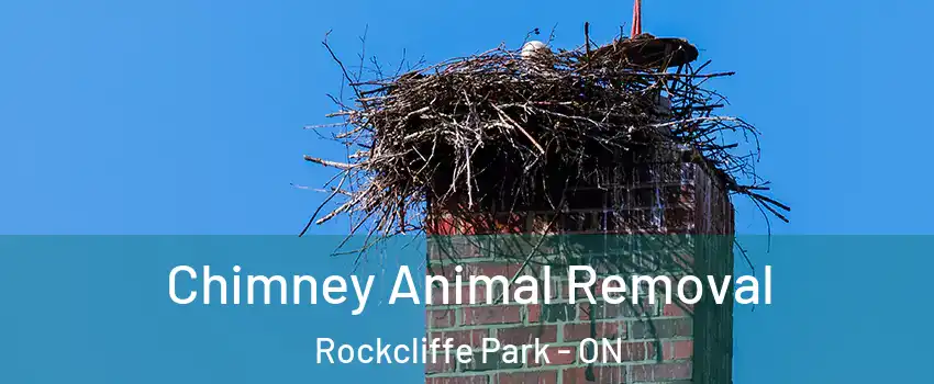  Chimney Animal Removal Rockcliffe Park - ON