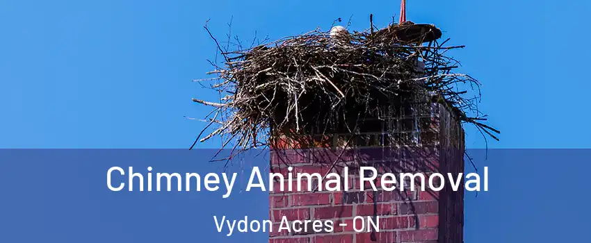  Chimney Animal Removal Vydon Acres - ON