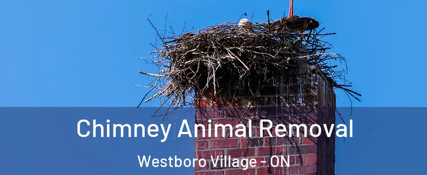  Chimney Animal Removal Westboro Village - ON