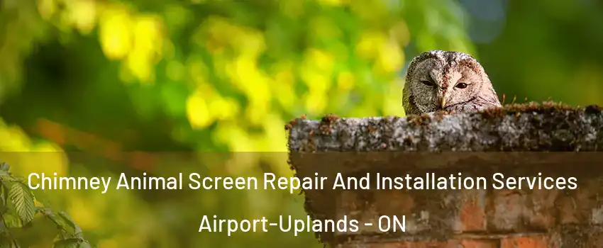  Chimney Animal Screen Repair And Installation Services Airport-Uplands - ON