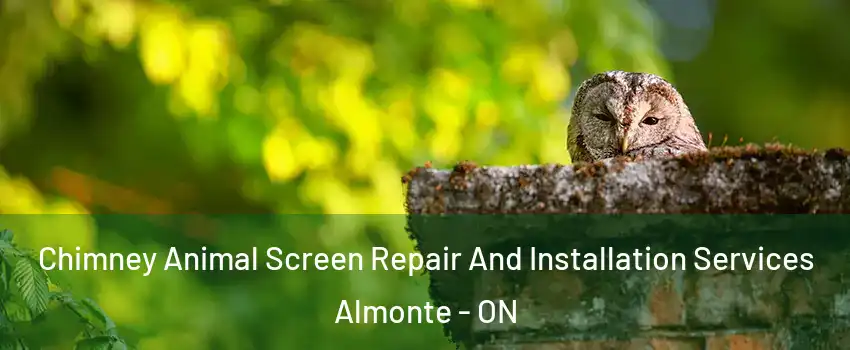  Chimney Animal Screen Repair And Installation Services Almonte - ON