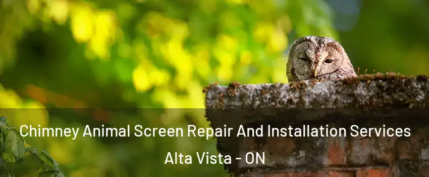  Chimney Animal Screen Repair And Installation Services Alta Vista - ON