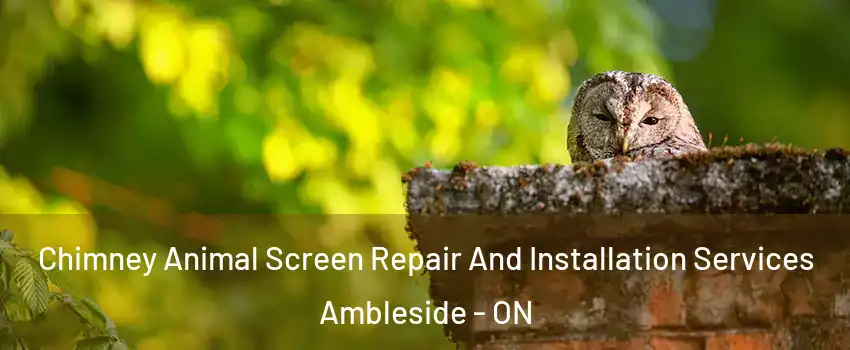  Chimney Animal Screen Repair And Installation Services Ambleside - ON