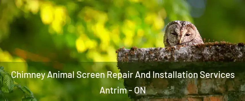  Chimney Animal Screen Repair And Installation Services Antrim - ON