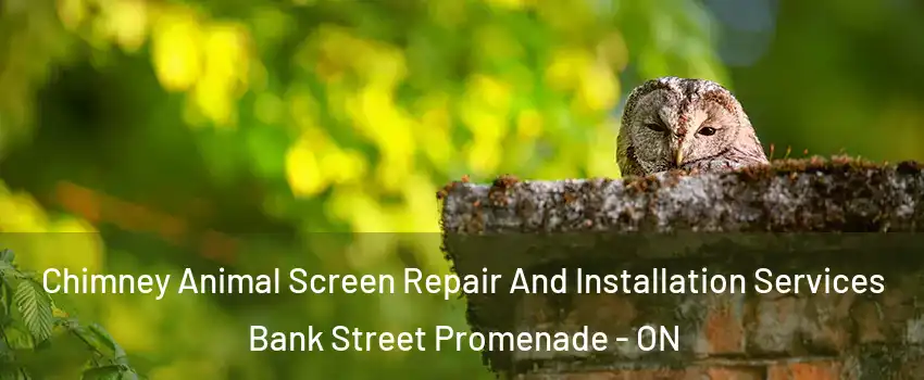  Chimney Animal Screen Repair And Installation Services Bank Street Promenade - ON