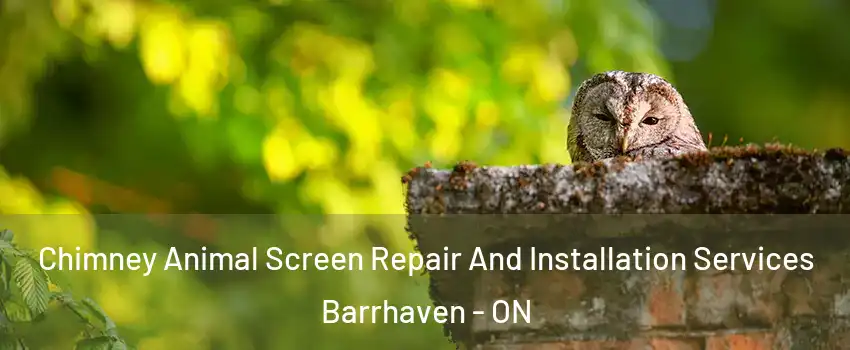  Chimney Animal Screen Repair And Installation Services Barrhaven - ON