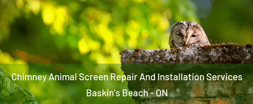  Chimney Animal Screen Repair And Installation Services Baskin's Beach - ON