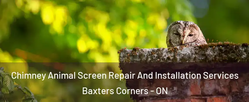  Chimney Animal Screen Repair And Installation Services Baxters Corners - ON