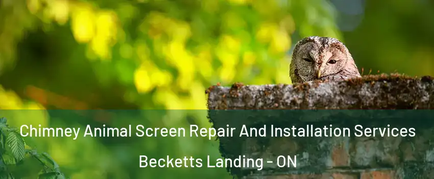  Chimney Animal Screen Repair And Installation Services Becketts Landing - ON