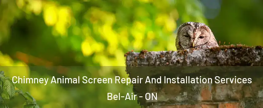  Chimney Animal Screen Repair And Installation Services Bel-Air - ON