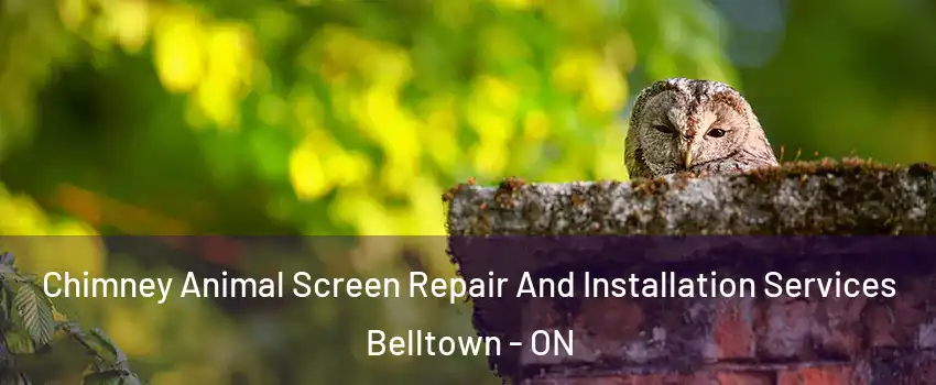  Chimney Animal Screen Repair And Installation Services Belltown - ON