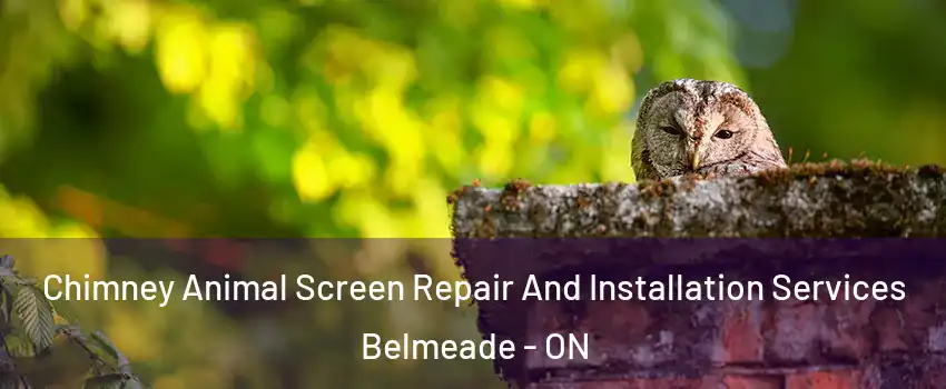  Chimney Animal Screen Repair And Installation Services Belmeade - ON