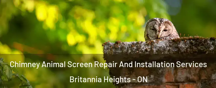  Chimney Animal Screen Repair And Installation Services Britannia Heights - ON