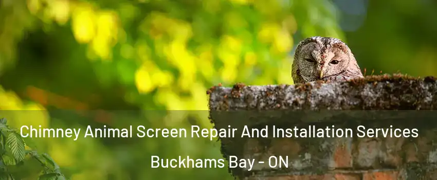  Chimney Animal Screen Repair And Installation Services Buckhams Bay - ON