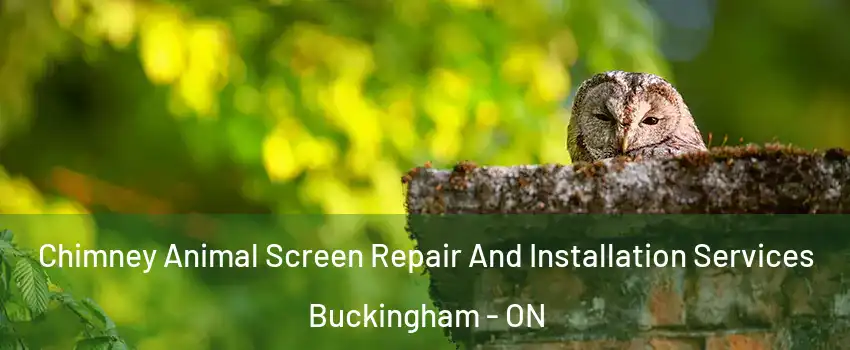  Chimney Animal Screen Repair And Installation Services Buckingham - ON